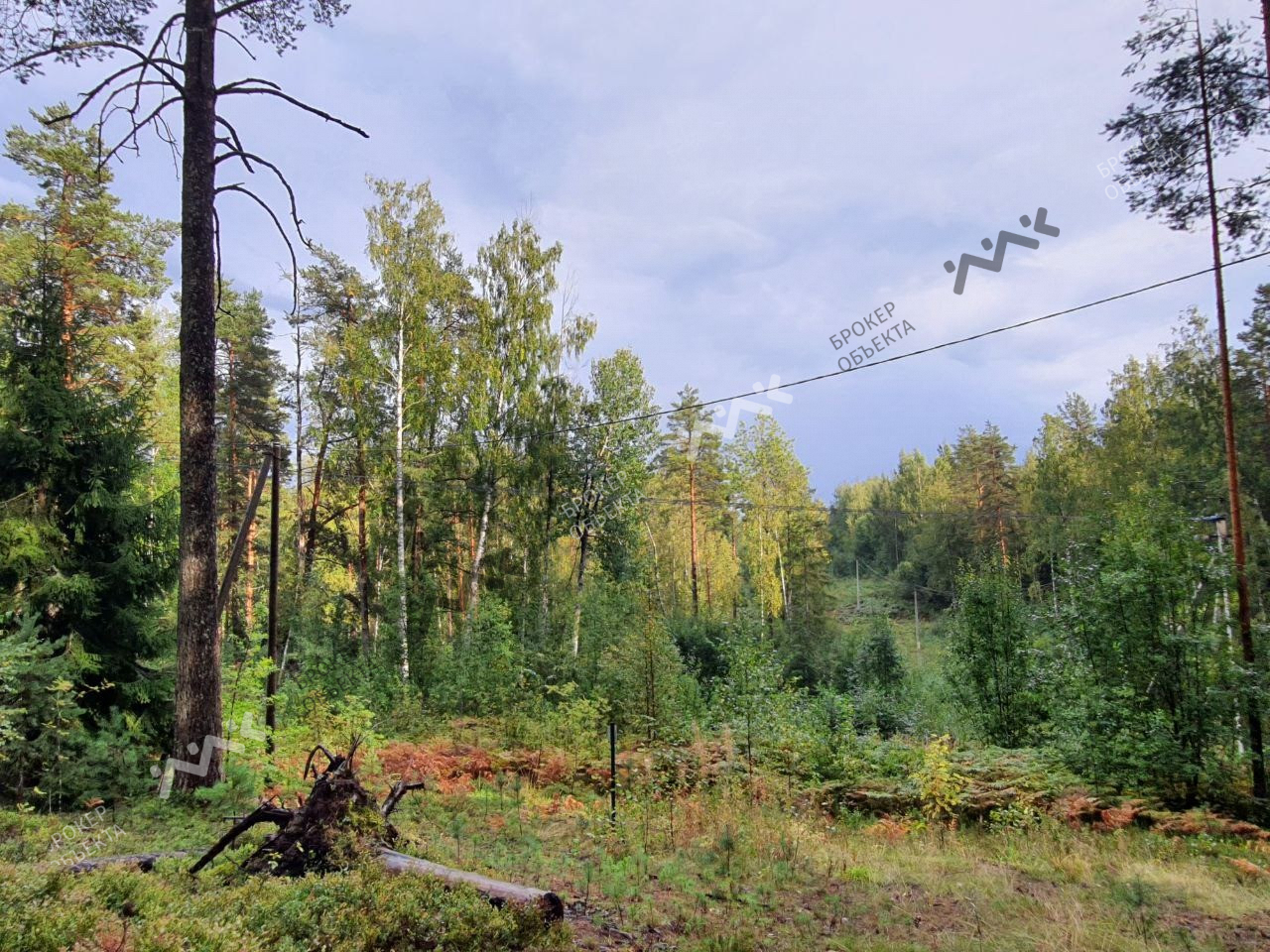 Фото объекта